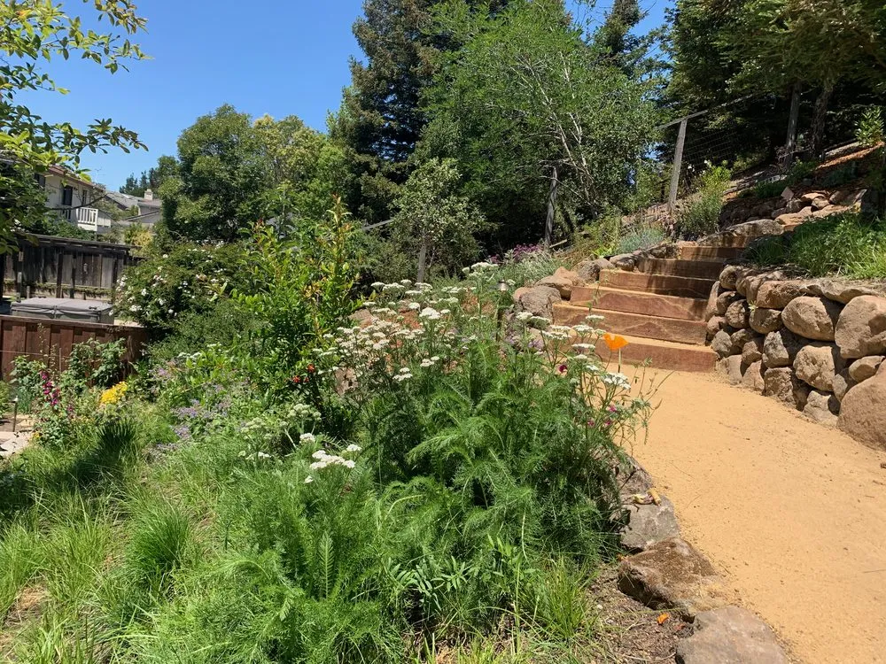 Trusted landscaping services near you in San Francisco, CA by Wild Earth Art