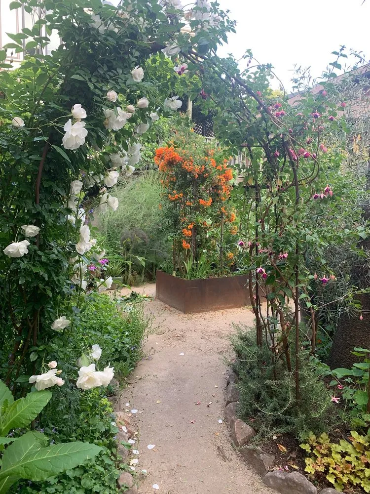 Expert garden landscaping in San Francisco, CA by Wild Earth Art
