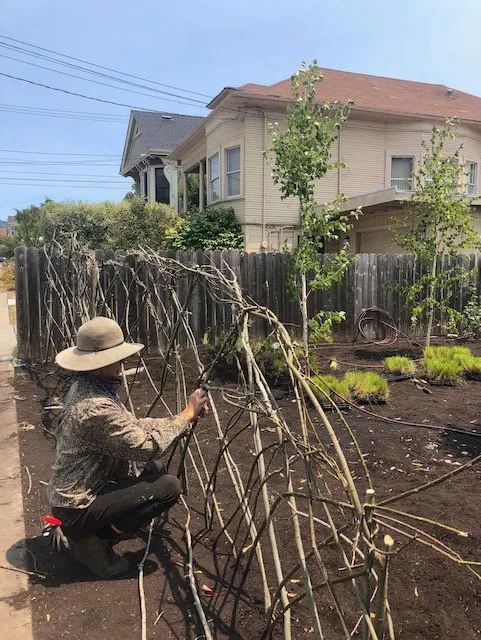Top-rated yard cleanup service in San Francisco, CA by Wild Earth Art