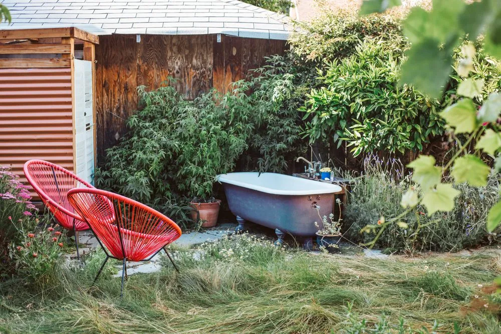 Affordable yard maintenance in San Francisco, CA - Wild Earth Art