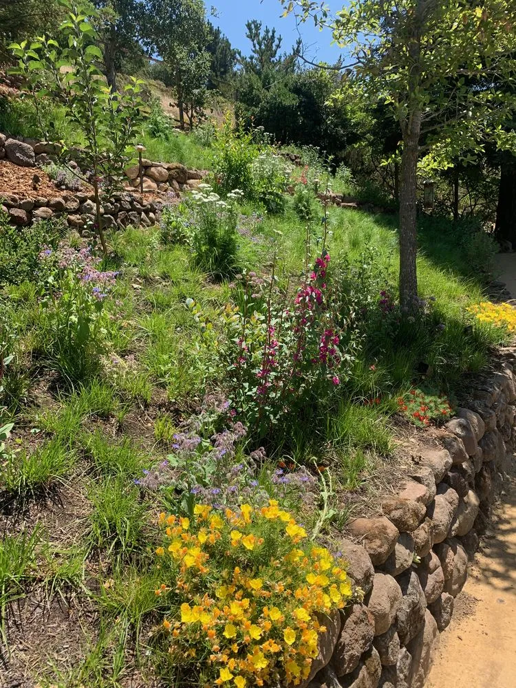 Affordable landscape installation experts serving San Francisco, CA - Wild Earth Art