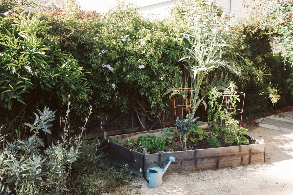 Professional yard cleanup service in San Francisco, CA - Wild Earth Art