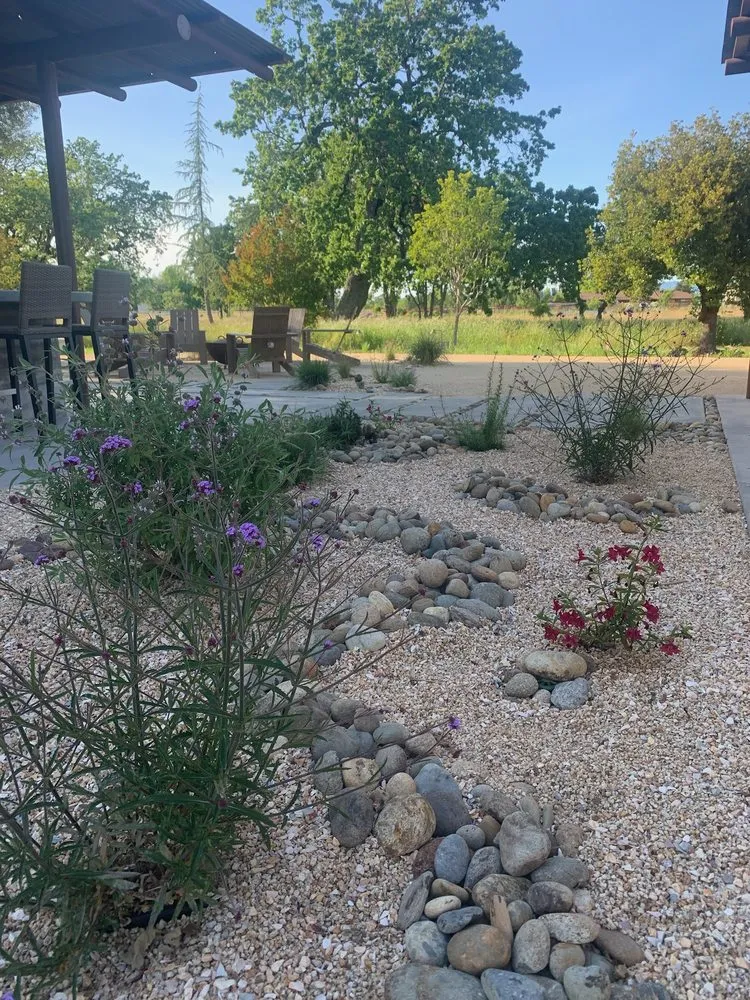 Affordable outdoor landscaping near you in San Francisco, CA by Wild Earth Art