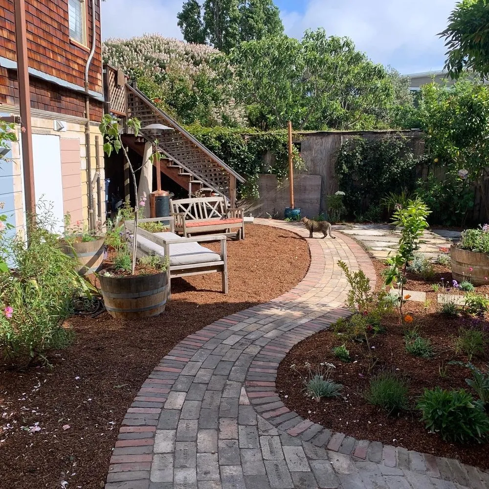 Trusted landscape installation with custom design across San Francisco, CA - Wild Earth Art