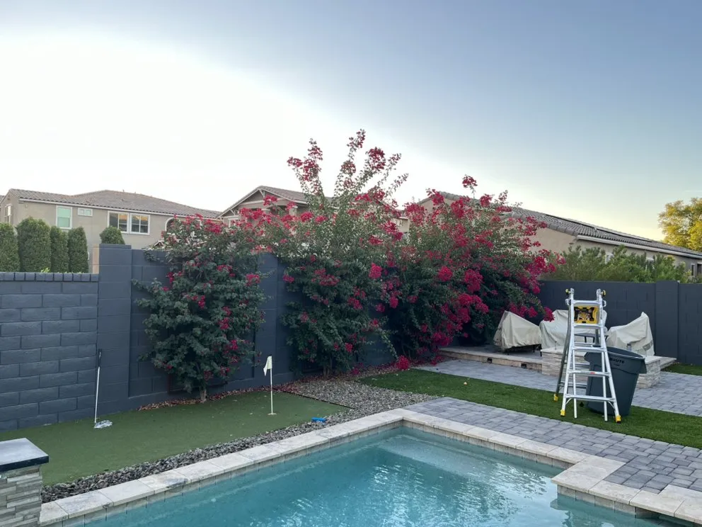 Custom residential landscaping in Tempe, AZ by Wild Ecoscapes