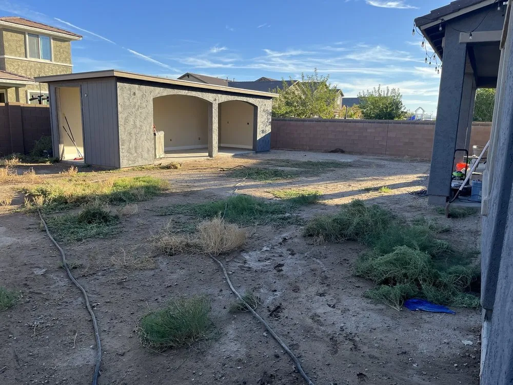 Professional garden landscaping for residential properties across Tempe, AZ - Wild Ecoscapes
