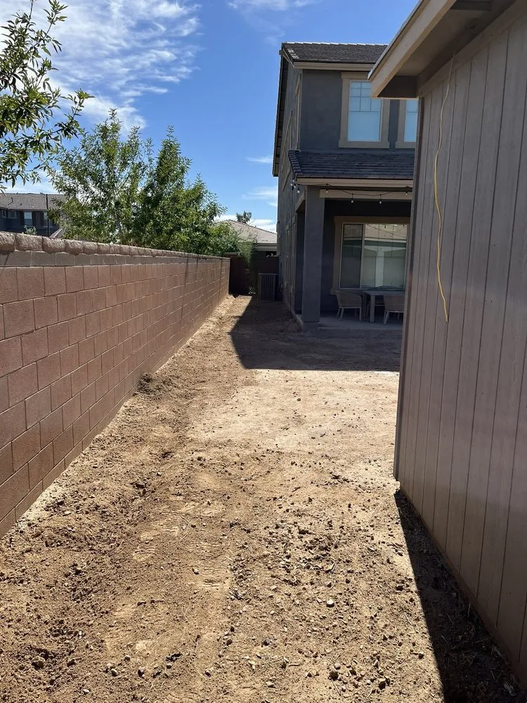 Trusted landscaping services for year-round maintenance across Tempe, AZ - Wild Ecoscapes