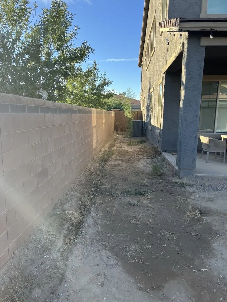 Trusted residential landscaping in Tempe, AZ - Wild Ecoscapes