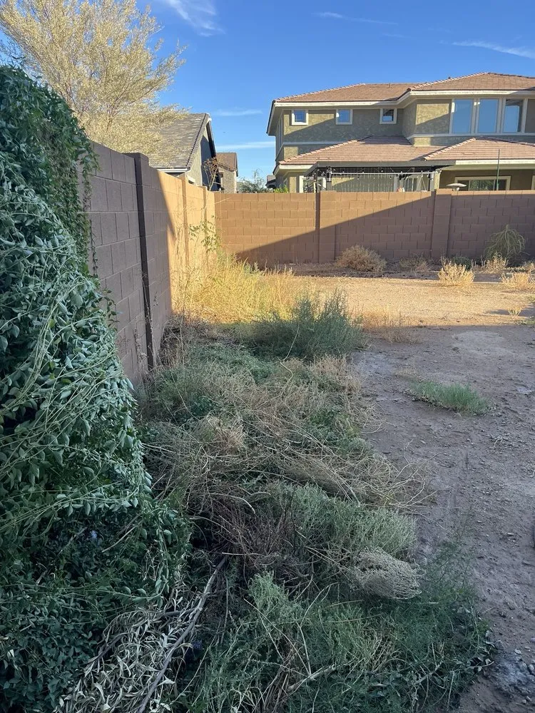 Trusted outdoor landscaping in Tempe, AZ - Wild Ecoscapes