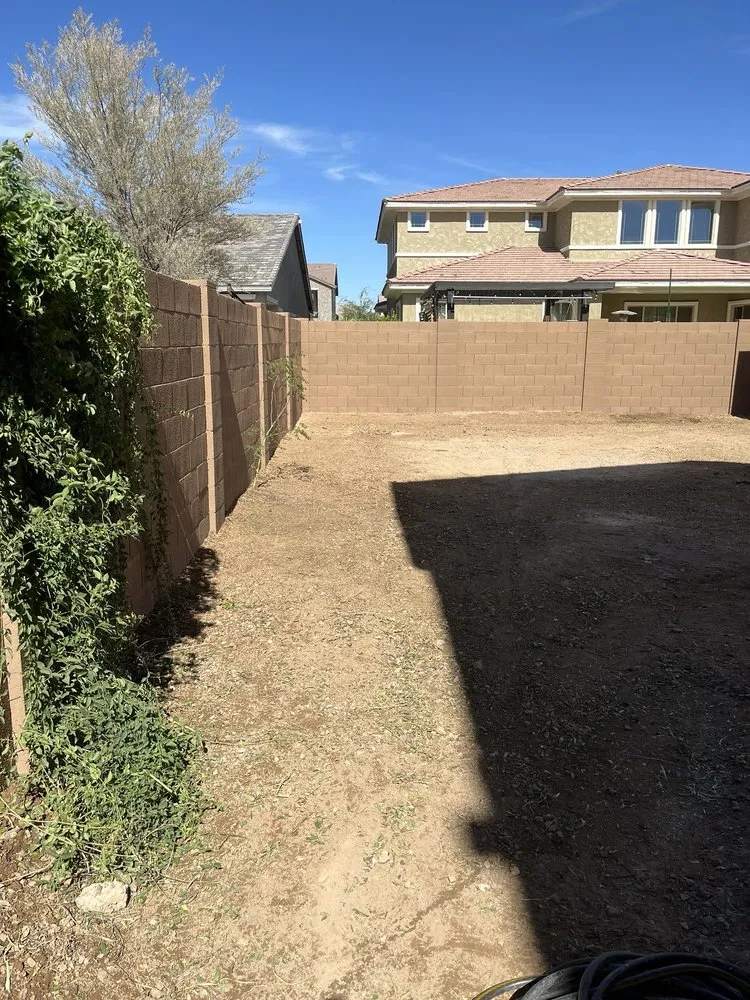 Expert lawn care service for beautiful yards across Tempe, AZ - Wild Ecoscapes