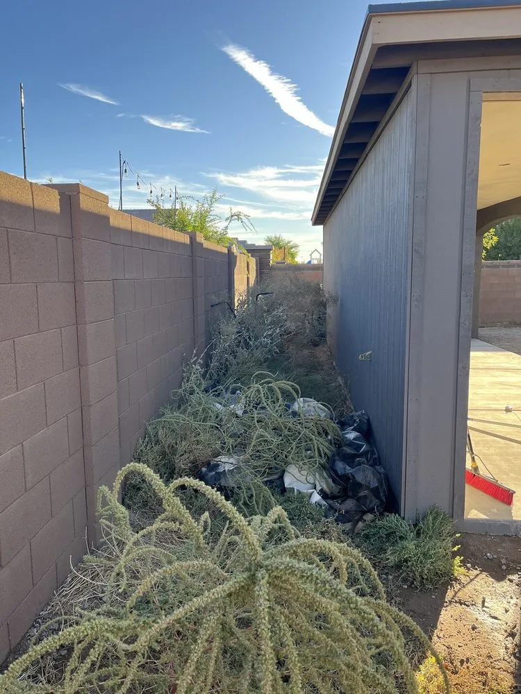 Affordable yard maintenance in Tempe, AZ by Wild Ecoscapes