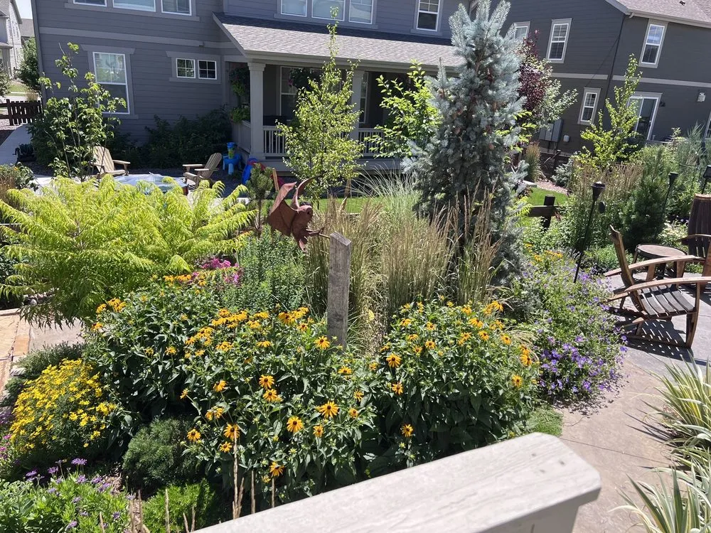 Professional outdoor landscaping for year-round maintenance across Louisville, CO - Wild Heritage Gardens and Design