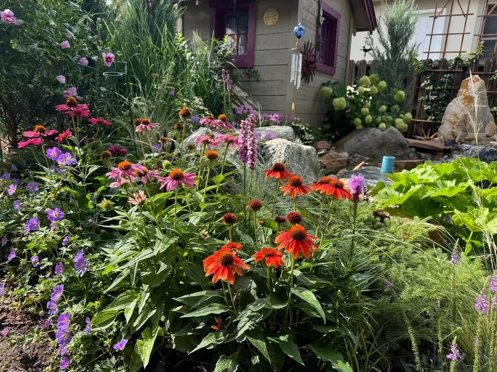 Expert yard maintenance near you across Louisville, CO - Wild Heritage Gardens and Design