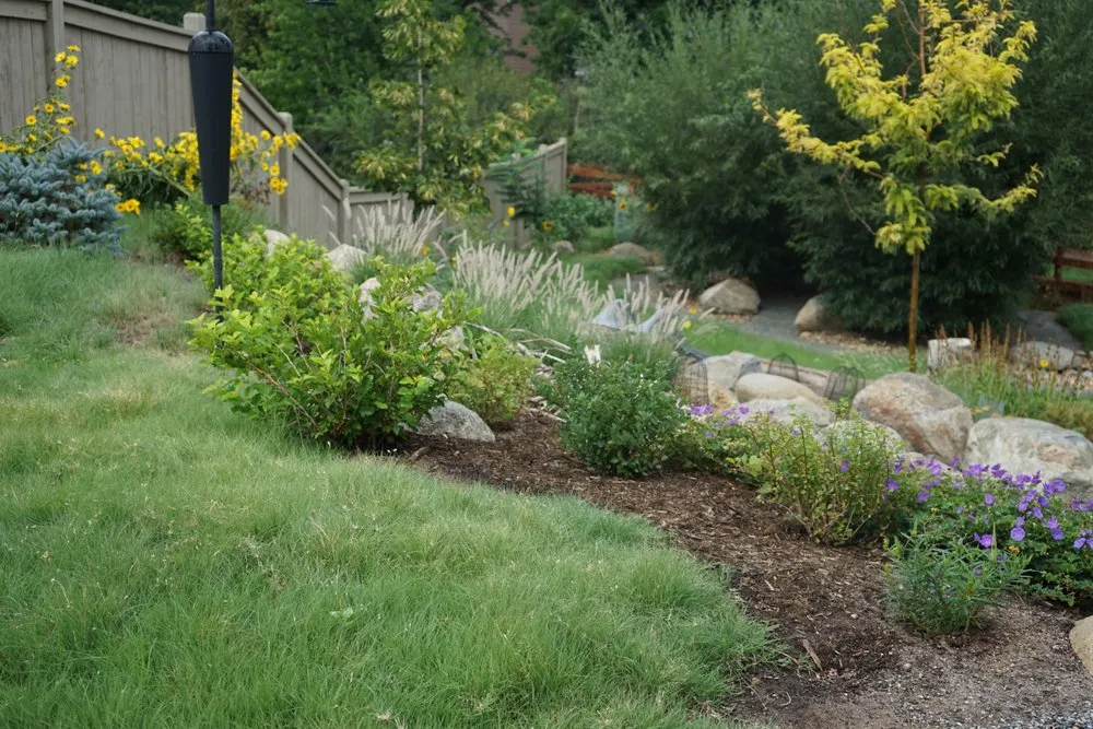 Local landscaping services in Louisville, CO - Wild Heritage Gardens and Design