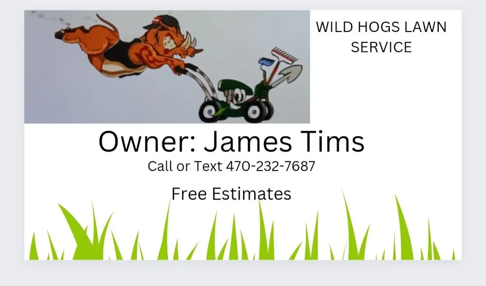 Trusted yard maintenance for outdoor upgrades across Taylorsville, GA - Wild Hogs Lawn Service