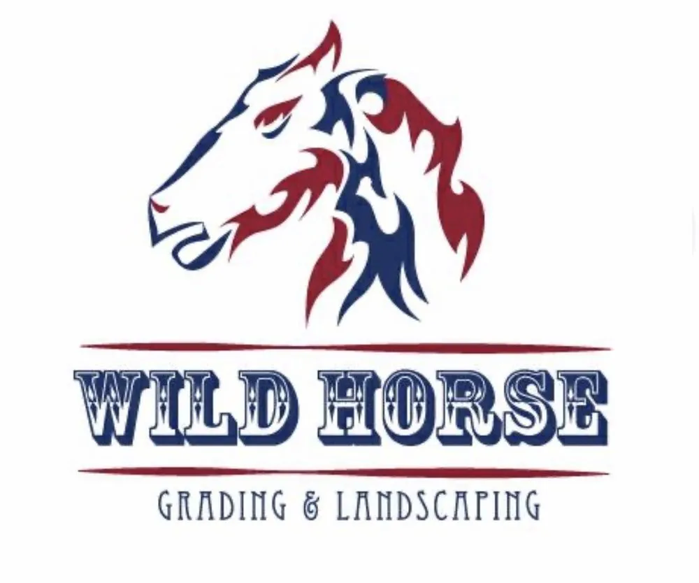 Reliable landscape installation experts serving Apache Junction, AZ - Wild Horse Landscaping and Grading