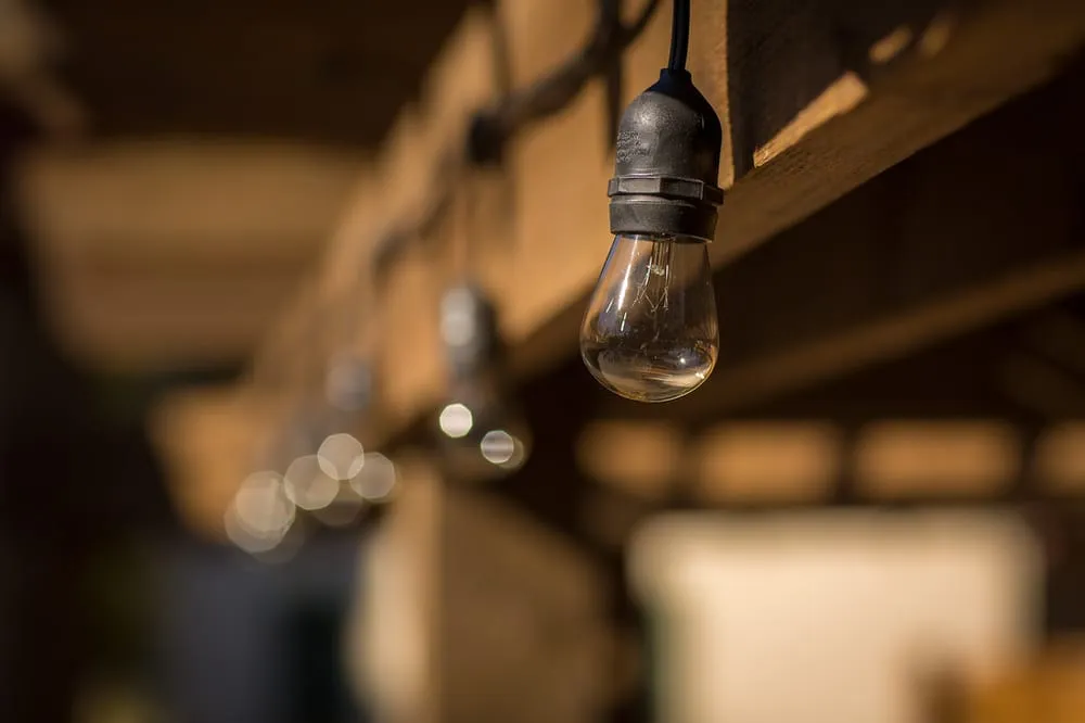 Affordable outdoor landscaping in Denver, CO - Wild Irishman Tree and Landscape