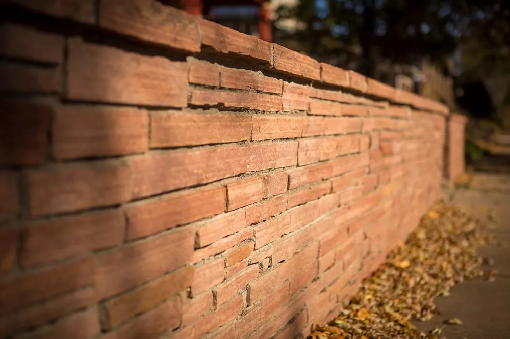 Local lawn mowing service in Denver, CO - Wild Irishman Tree and Landscape