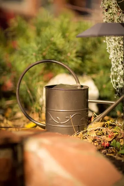 Top-rated garden landscaping for residential properties across Denver, CO - Wild Irishman Tree and Landscape