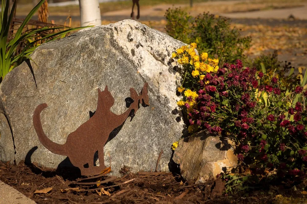 Professional landscape installation near you across Denver, CO - Wild Irishman Tree and Landscape