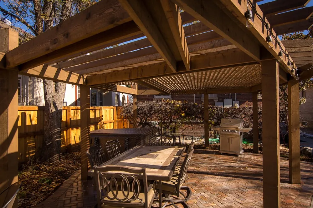 Trusted yard cleanup service experts serving Denver, CO - Wild Irishman Tree and Landscape