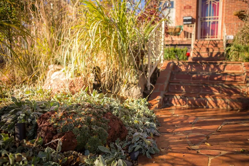 Local lawn care service with custom design across Denver, CO - Wild Irishman Tree and Landscape