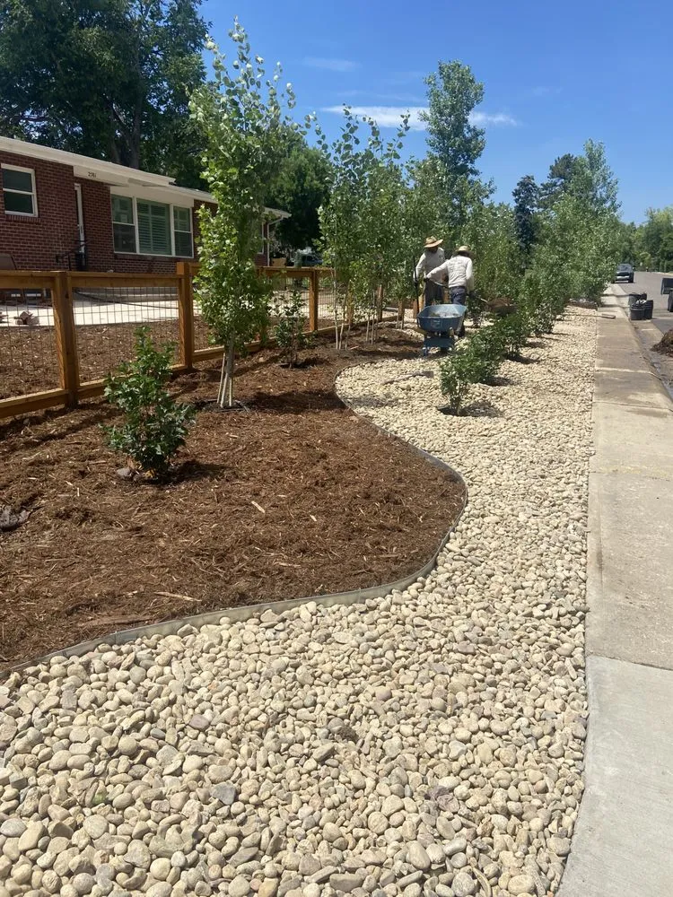 Expert outdoor landscaping with custom design in Denver, CO by Wild Irishman Tree and Landscape