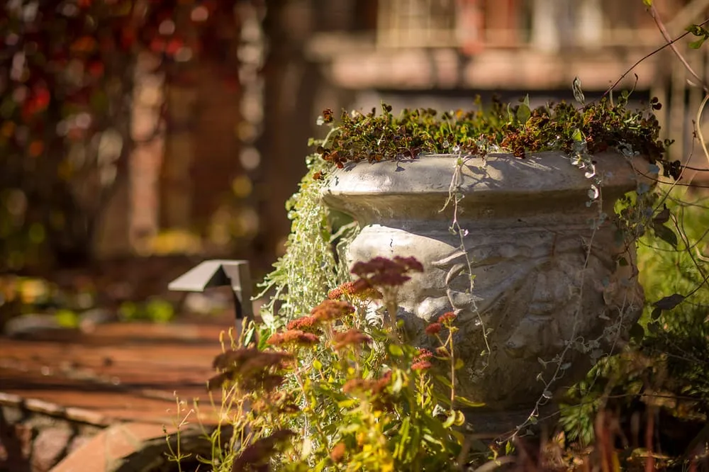 Expert landscape installation in Denver, CO - Wild Irishman Tree and Landscape