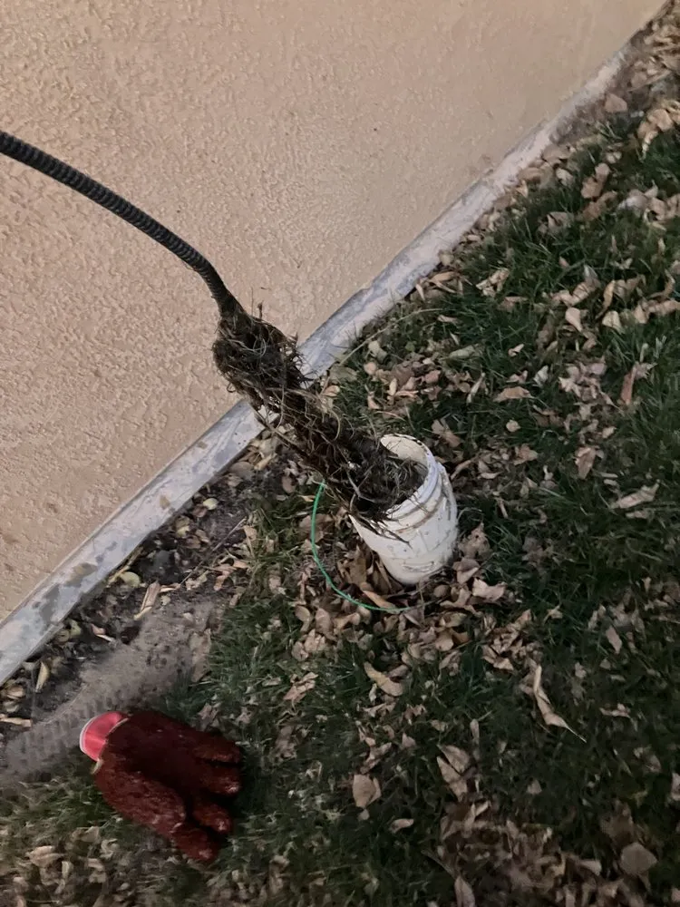 Custom landscape design in Colorado Springs, CO by Wild Land Excavation