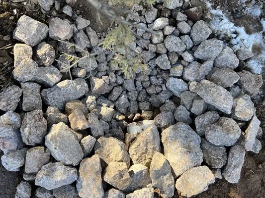 Wild Land Excavation Logo