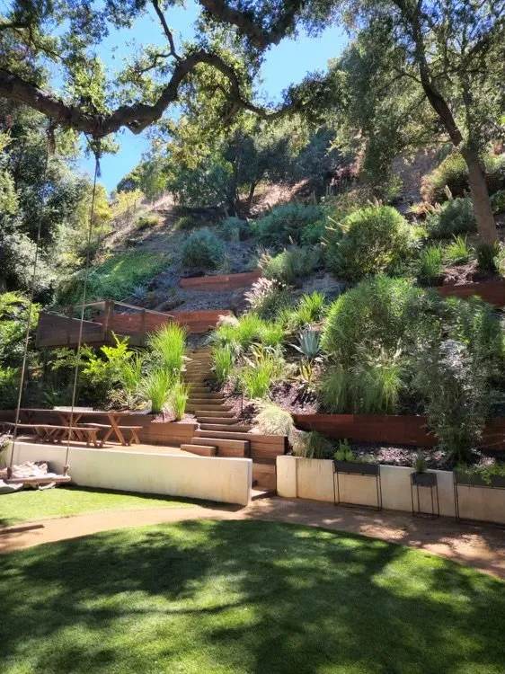 Professional outdoor landscaping in Los Angeles, CA - Wild Landscape