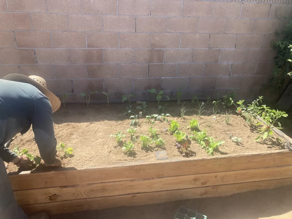 Affordable residential landscaping in Los Angeles, CA - Wild Landscape