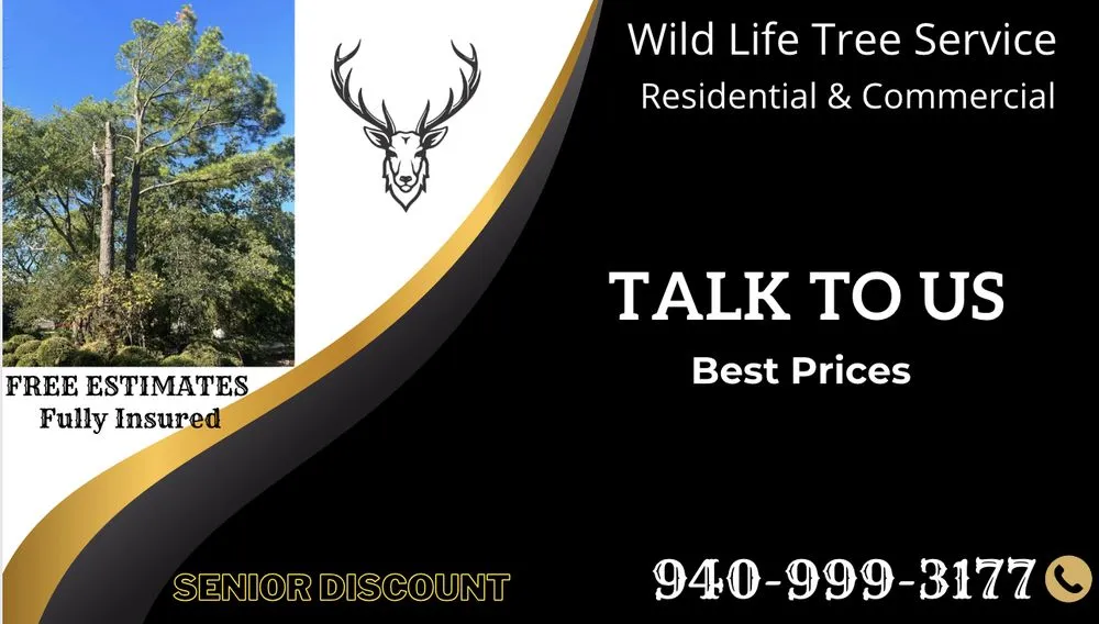 Affordable landscape design in Sanger, TX by Wild Life Tree Service