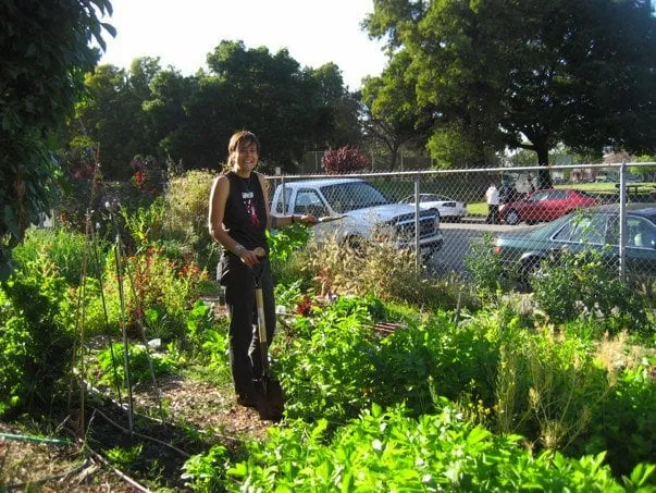 Professional landscape installation in Oakland, CA - Wild Lilac Gardening Services