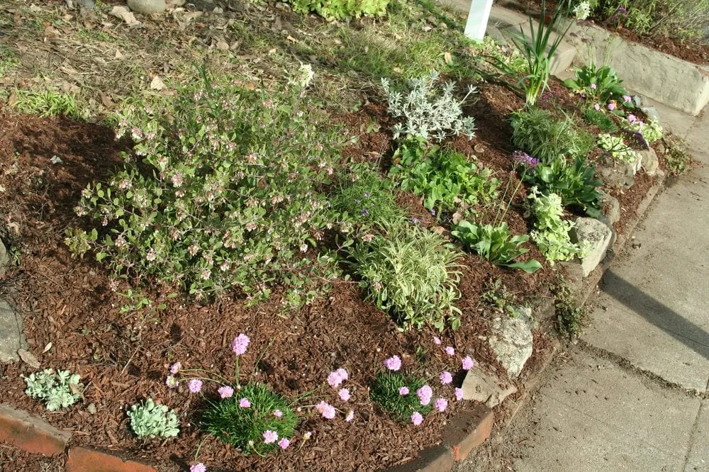 Custom outdoor landscaping experts serving Oakland, CA - Wild Lilac Gardening Services