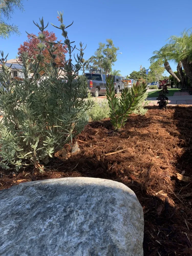 Local landscaping services in San Diego, CA - Wild Made Design