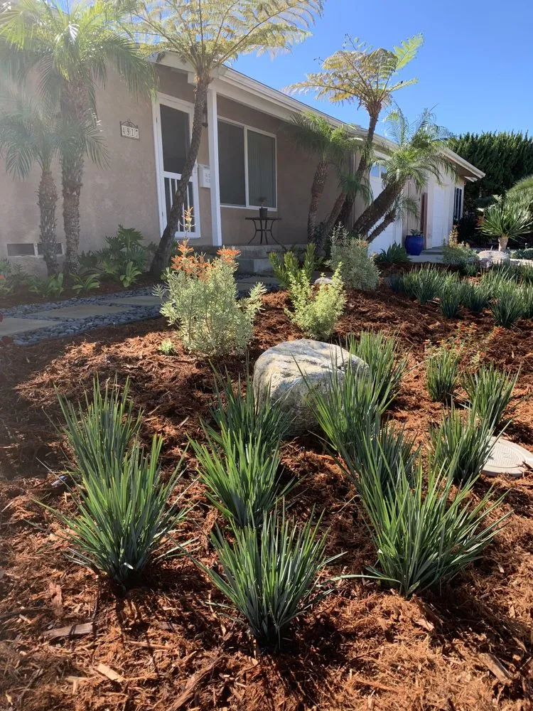 Expert lawn care service near you across San Diego, CA - Wild Made Design