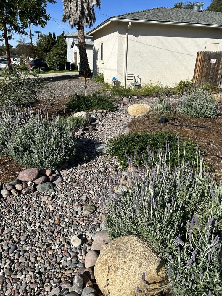 Top-rated lawn care service in San Diego, CA - Wild Made Design