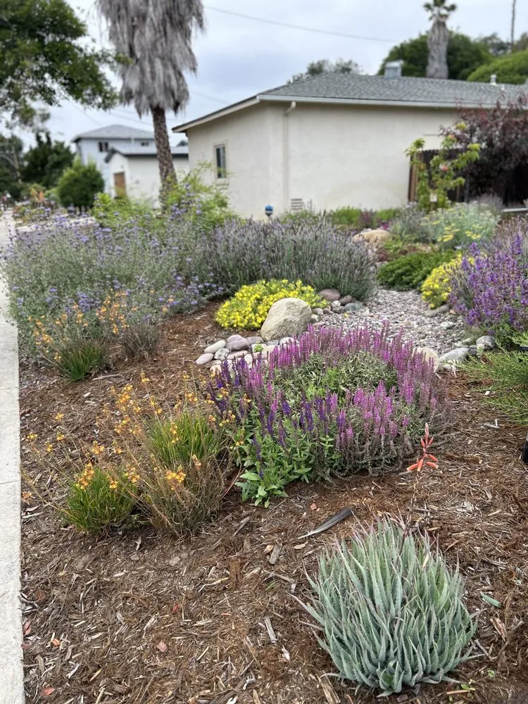 Custom landscape design in San Diego, CA - Wild Made Design