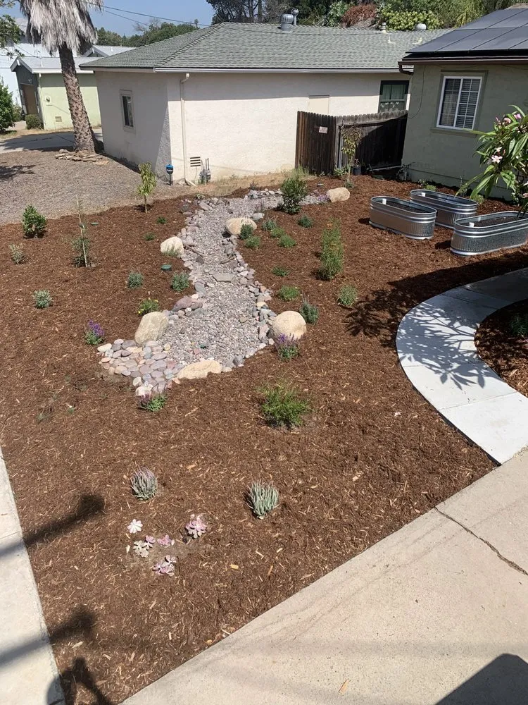 Affordable yard cleanup service experts serving San Diego, CA - Wild Made Design