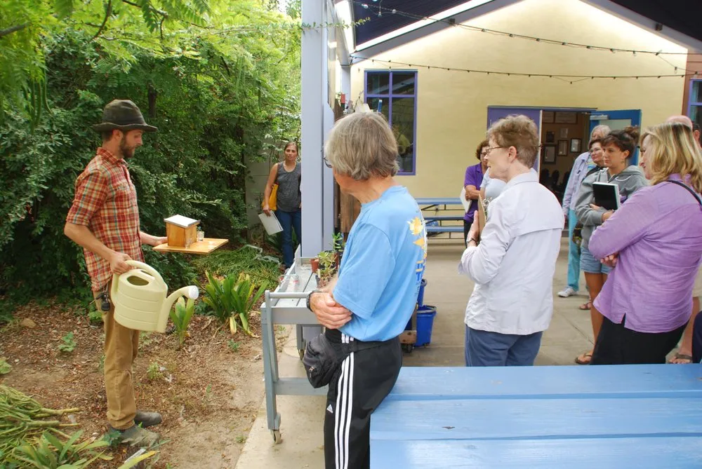 Trusted lawn mowing service in San Diego, CA by Wild Made Design