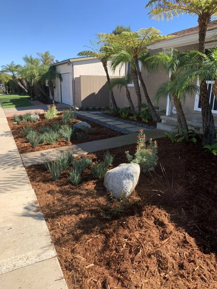 Trusted lawn care service experts serving San Diego, CA - Wild Made Design