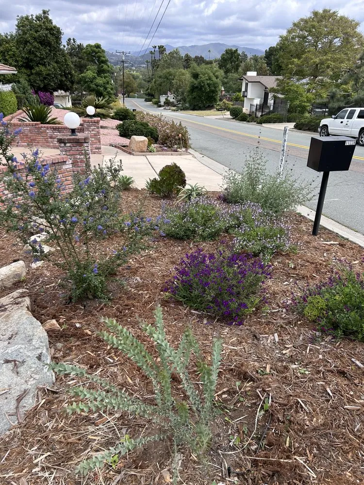 Professional yard maintenance experts serving San Diego, CA - Wild Made Design