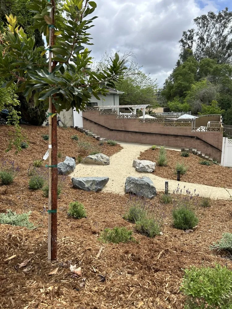 Top-rated yard maintenance near you across San Diego, CA - Wild Made Design