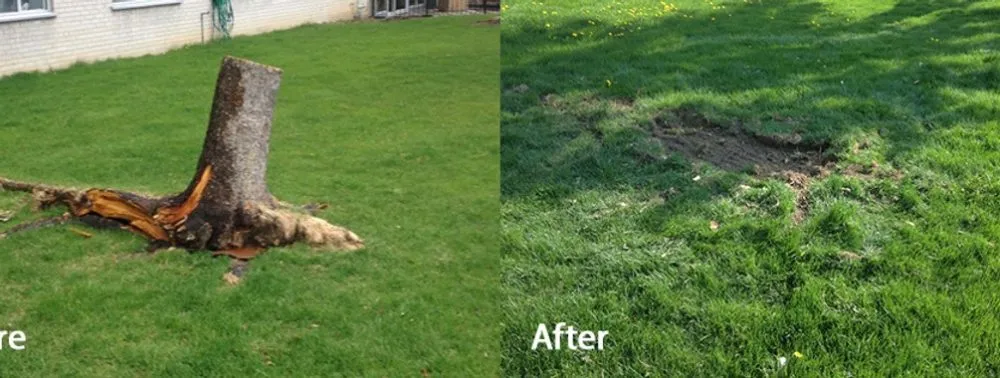 Professional lawn mowing service in Ladson, SC by Wild Man's Land Management