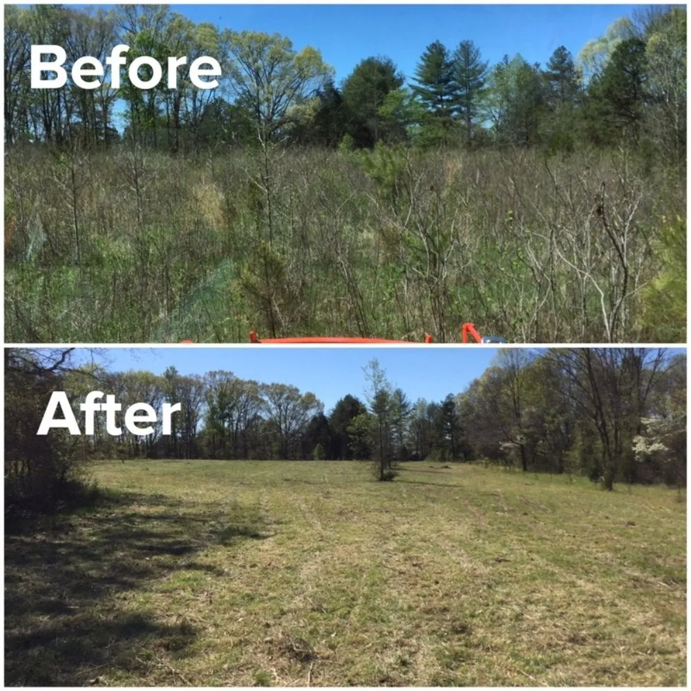 Affordable yard maintenance with custom design across Ladson, SC - Wild Man's Land Management