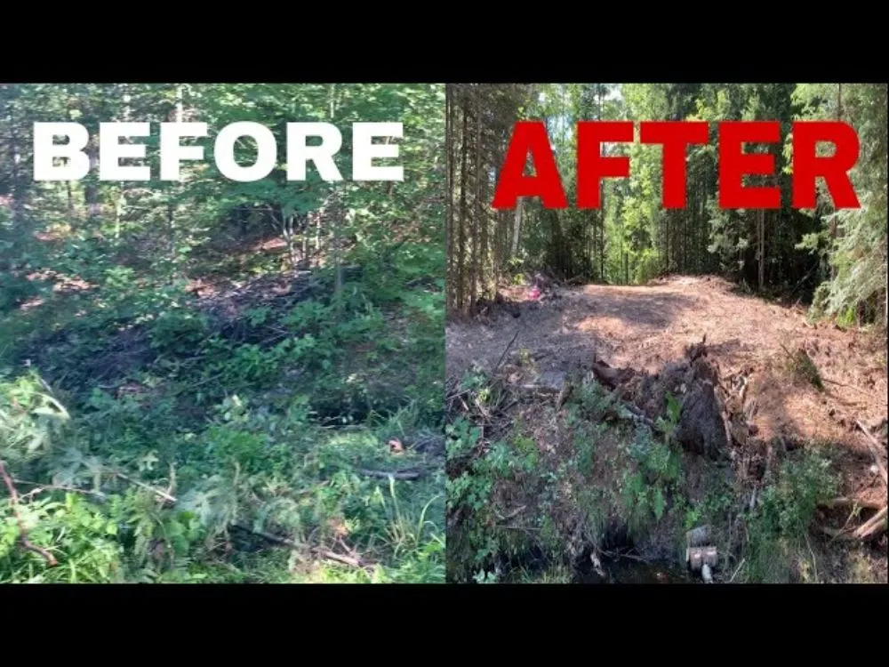 Expert lawn care service in Ladson, SC - Wild Man's Land Management