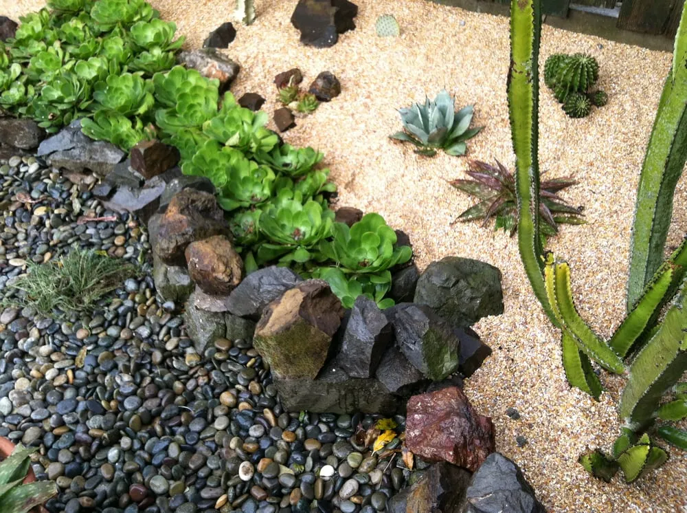 Trusted lawn mowing service experts serving San Francisco, CA - Wild Natives