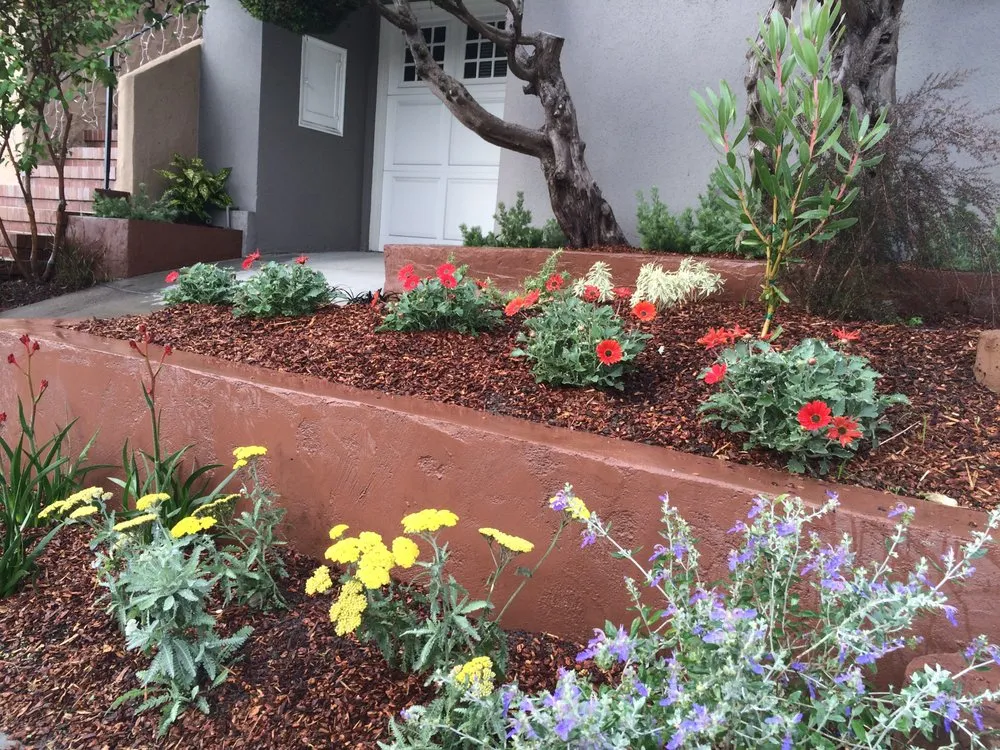 Reliable outdoor landscaping in San Francisco, CA - Wild Natives