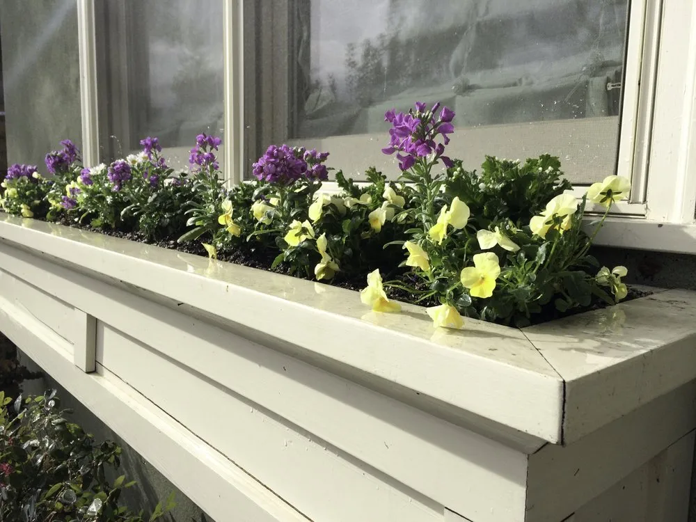 Top-rated landscape design in San Francisco, CA - Wild Natives